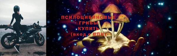 хмурый Семилуки