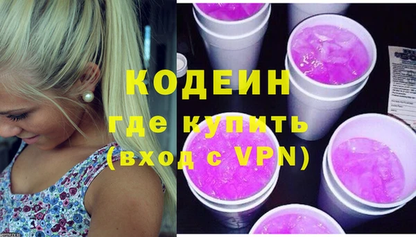 хмурый Семилуки
