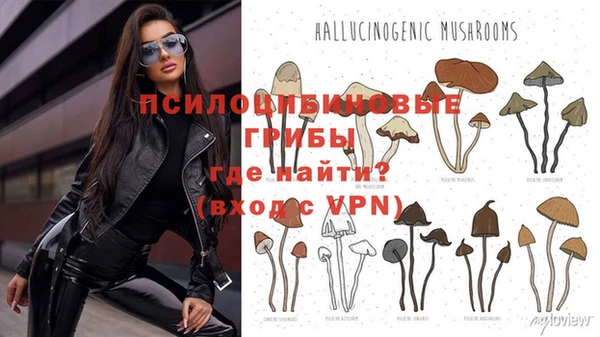 марки nbome Семёнов
