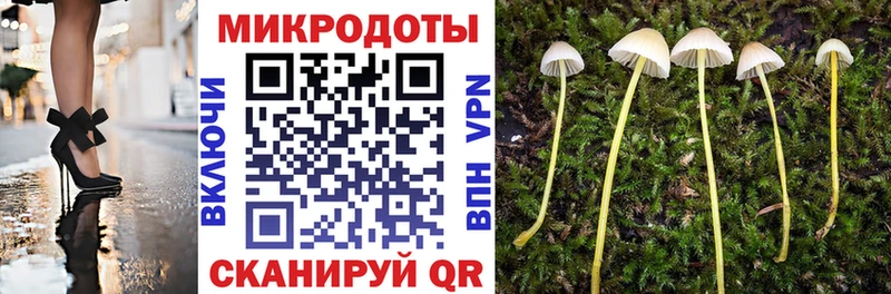 купить наркоту  Талица  Псилоцибиновые грибы Psilocybine cubensis 